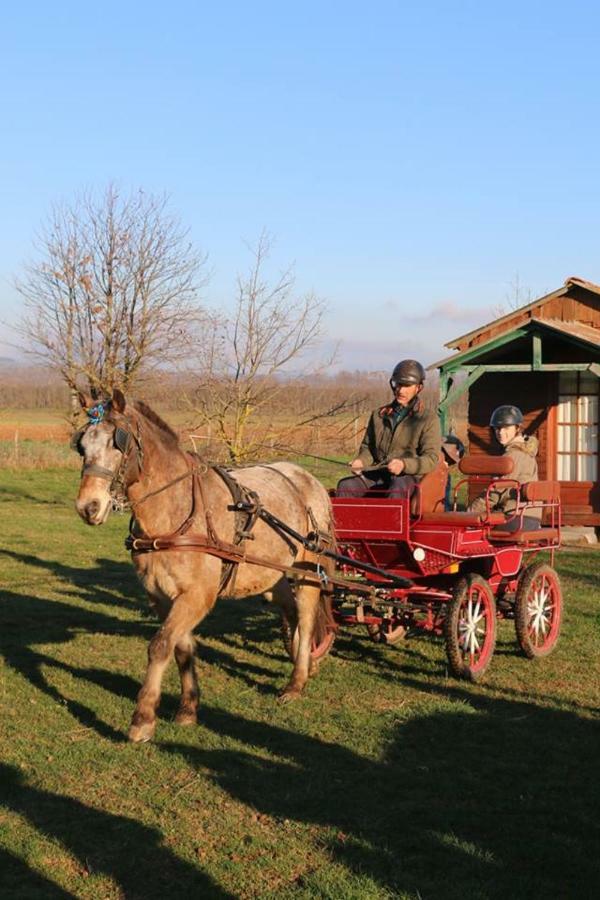 מלון Penol Ferme Equestre Les Chevaliers מראה חיצוני תמונה